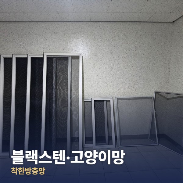 중랑구 블랙스텐·고양이망
